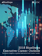 BlueSteps Career Outlook Report