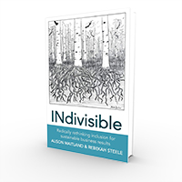INdivisible book cover